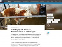 Bild zum Artikel: Kühe totgequält - Bauer aus Thannhausen muss ins Gefängnis