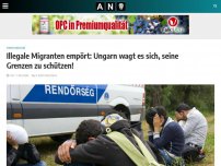 Bild zum Artikel: Illegale Migranten empört: Ungarn wagt es sich, seine Grenzen zu schützen!