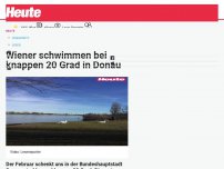 Bild zum Artikel: Wiener schwimmen bei knappen 20 Grad in Donau