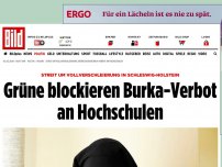 Bild zum Artikel: Streit um Vollverschleierung - Grüne blockieren Burka-Verbot an Hochschulen