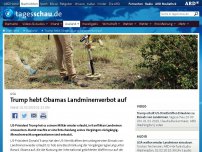 Bild zum Artikel: Trump hebt Obamas Landminenverbot auf