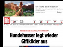 Bild zum Artikel: Terrier starb qualvoll - Hundehasser legt wieder Giftköder aus