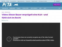 Bild zum Artikel: Video: Dieser Bauer verprügelt eine Kuh – und fühlt sich im Recht