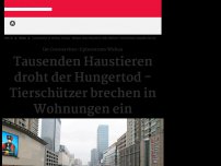 Bild zum Artikel: In Corona-Hochburg Wuhan