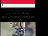 Bild zum Artikel: Frau drohen zwei Jahre Haft