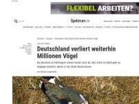 Bild zum Artikel: Artenkrise: Deutschland verliert weiterhin Millionen Vögel