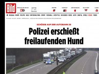 Bild zum Artikel: Schüsse auf der Autobahn 29 - Polizei erschießt freilaufenden Hund