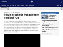 Bild zum Artikel: Polizei erschießt freilaufenden Hund auf A29