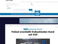 Bild zum Artikel: Polizei erschießt freilaufenden Hund auf  A29