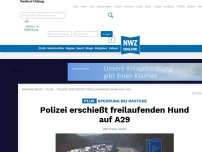 Bild zum Artikel: Freilaufender Hund sorgt für Sperrung der A 29