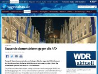Bild zum Artikel: Tausende protestieren gegen AfD in Münster