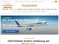 Bild zum Artikel: Thüringer Wahleklat: CDU-Politiker fordern Auflösung der Werteunion