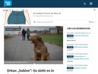 Bild zum Artikel: Orkantief „Sabine“: So sieht es in Bremerhaven und umzu aus