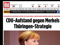Bild zum Artikel: Wegen Ramelow-Wahl - Aufstand gegen Merkels Thüringen-Strategie