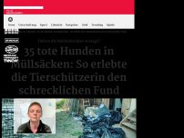 Bild zum Artikel: 35 tote Hunden in Müllsäcken: So erlebte die Tierschützerin den schrecklichen Fund