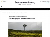 Bild zum Artikel: Öko-Suchmaschine Ecosia: Surfen gegen den Klimawandel