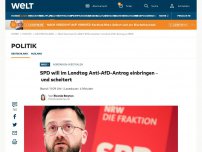 Bild zum Artikel: SPD will im Landtag Anti-AfD-Antrag einbringen – und scheitert