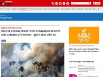 Bild zum Artikel: Regenwald in Südamerika - Keiner schaut mehr hin: Amazonas brennt und schrumpft weiter - geht uns alle an
