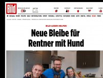 Bild zum Artikel: BILD-Leser helfen! - Neue Bleibe für Rentner mit Hund