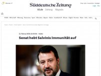 Bild zum Artikel: Italien: Senat hebt Salvinis Immunität auf