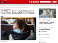 Bild zum Artikel: Aus Angst vor Corona-Virus: Bürgerwehr in China schlägt Hunde auf offener Straße tot