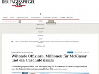 Bild zum Artikel: Wütende Offiziere, Millionen für McKinsey und ein Unschuldslamm