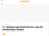 Bild zum Artikel: 12-Jähriger baut Rollstuhl aus Lego für zweibeinigen Welpen