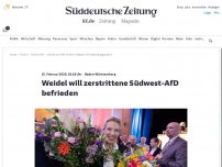 Bild zum Artikel: Baden-Württemberg: Weidel will zerstrittene Südwest-AfD befrieden