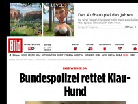 Bild zum Artikel: Inge wieder da! - Bundespolizei rettet Klau-Hund