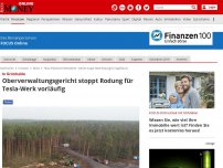 Bild zum Artikel: In Grünheide - Oberverwaltungsgericht stoppt Rodung für Tesla-Werk vorläufig