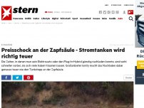 Bild zum Artikel: E-Mobilität: Preisschock an der Zapfsäule - Stromtanken wird richtig teuer