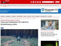 Bild zum Artikel: Umwelt-Aktivisten scheitern vor Gericht - Tesla darf Waldstück für Fabrik in Brandenburg roden