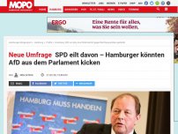 Bild zum Artikel: Neue Umfrage: SPD eilt davon – Hamburger könnten AfD aus dem Parlament kicken