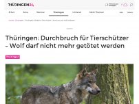 Bild zum Artikel: Thüringen: Durchbruch für Tierschützer – Wölfe dürfen nicht mehr geschossen werden