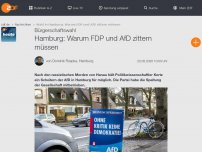 Bild zum Artikel: Hamburg: Warum FDP und AfD zittern müssen