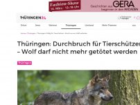 Bild zum Artikel: Thüringen: Durchbruch für Tierschützer – Wolf darf nicht mehr getötet werden
