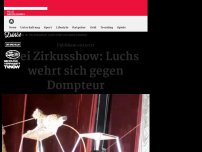 Bild zum Artikel: Bei Zirkusshow