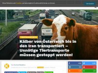 Bild zum Artikel: Kälber von Österreich bis in den Iran transportiert – Unnötige Tiertransporte müssen gestoppt werden!