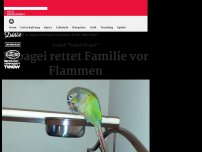 Bild zum Artikel: Er rief: „Feuer!“