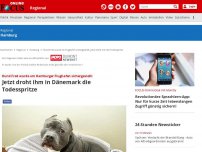 Bild zum Artikel: Hund Fred wurde am Hamburger Flughafen sichergestellt - Jetzt droht ihm in Dänemark die Todesspritze