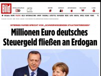 Bild zum Artikel: Internes Papier - Millionen deutscher Steuern fließen an Erdogan