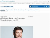 Bild zum Artikel: AfD-Abgeordneter Kaufmann zum Vizepräsidenten des Thüringer Landtags gewählt