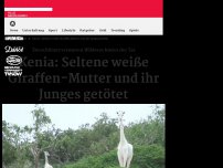 Bild zum Artikel: Stecken Wilderer dahinter?