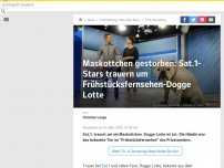 Bild zum Artikel: Maskottchen gestorben: Sat.1-Stars trauern um 'Frühstücksfernsehen'-Dogge