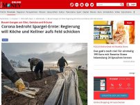 Bild zum Artikel: Spargel stechen statt Teller waschen - Sollen Bauern bei Ernte helfen: Regierung will Köche und Kellner aufs Feld schicken