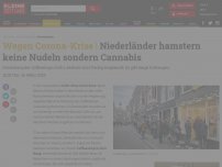 Bild zum Artikel: Niederländer hamstern keine Nudeln sondern Cannabis