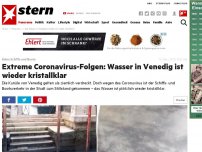 Bild zum Artikel: Keine Schiffe und Boote: Das Wasser in Venedigs Kanälen ist wieder kristallklar