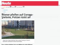 Bild zum Artikel: Wiener pfeifen auf Corona-Verbote, Polizei rückt an