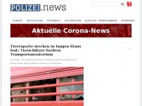Bild zum Artikel: Tierexporte stecken in langen Staus fest: Tierschützer fordern Transportmoratorium