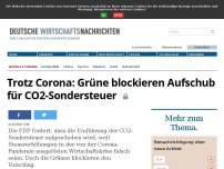 Bild zum Artikel: Trotz Corona: Grüne blockieren Aufschub für CO2-Sondersteuer